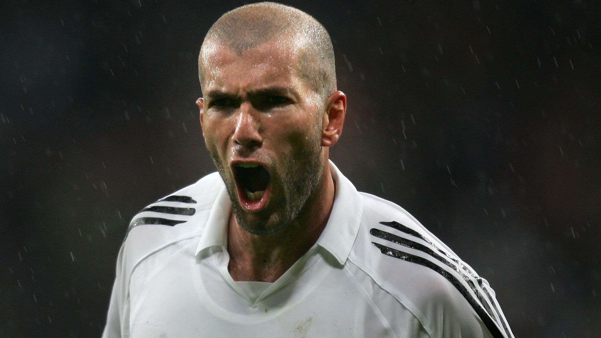 医疗团队与 医疗团队与